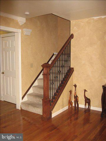 151 Springfield Road Shippensburg, PA 17257 - Photo 4 of 6 Gallery Image 4