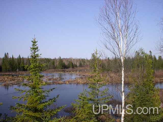 E2520 Co Road Trenary, MI 49891 - Photo 2 of 5