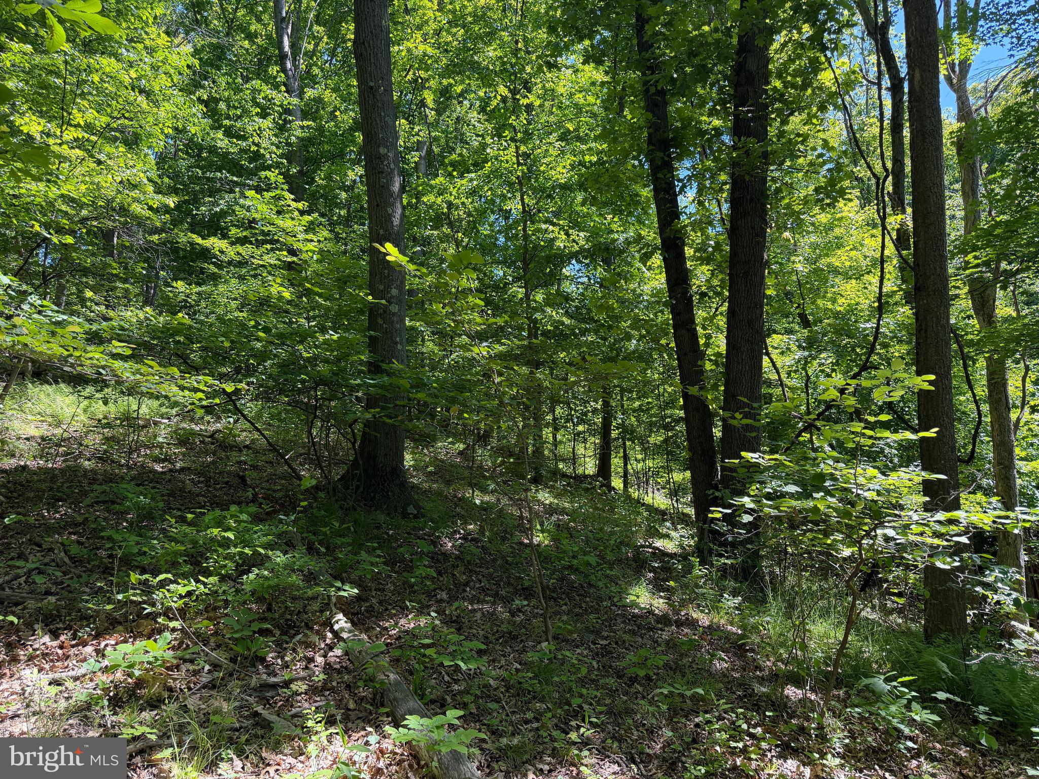944 Decker Hollow Road Tyrone, PA 16686 - Photo 29 of 82