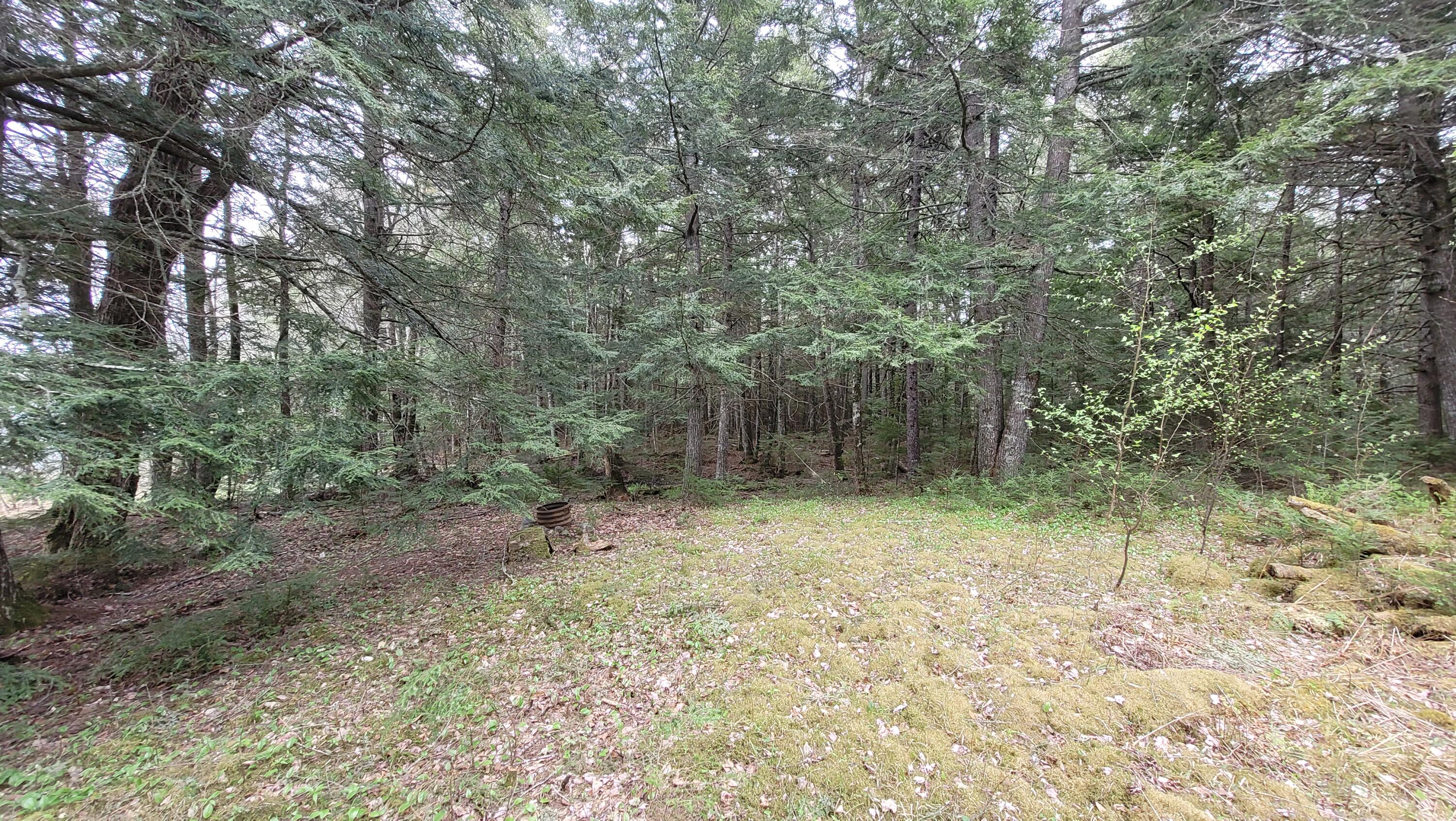 0 Silsby Road Ellsworth, ME 04605 - Photo 6 of 11 20220513_085530
