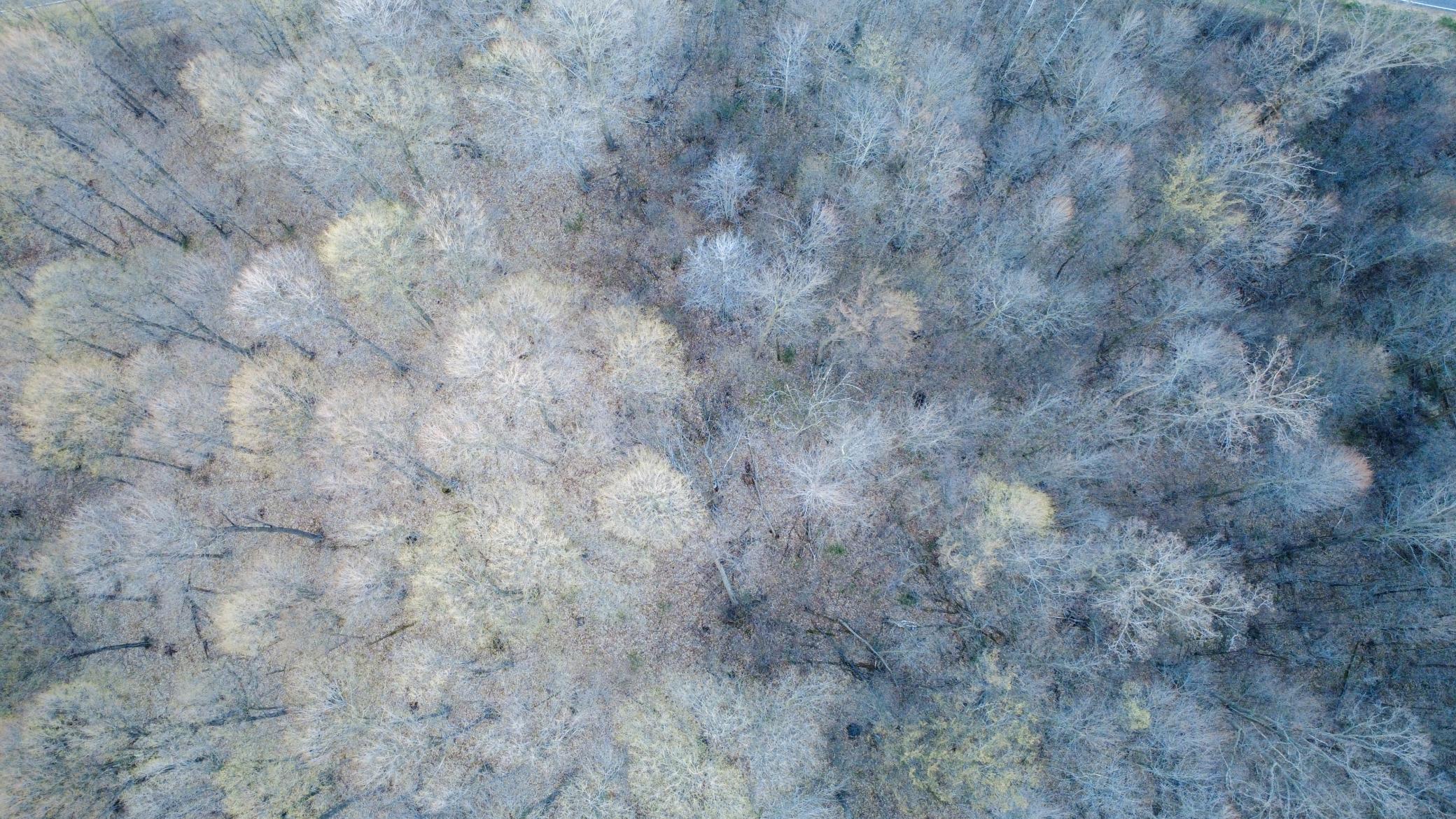 Tbd County Rd K Menomonie, WI 54751 - Photo 13 of 28