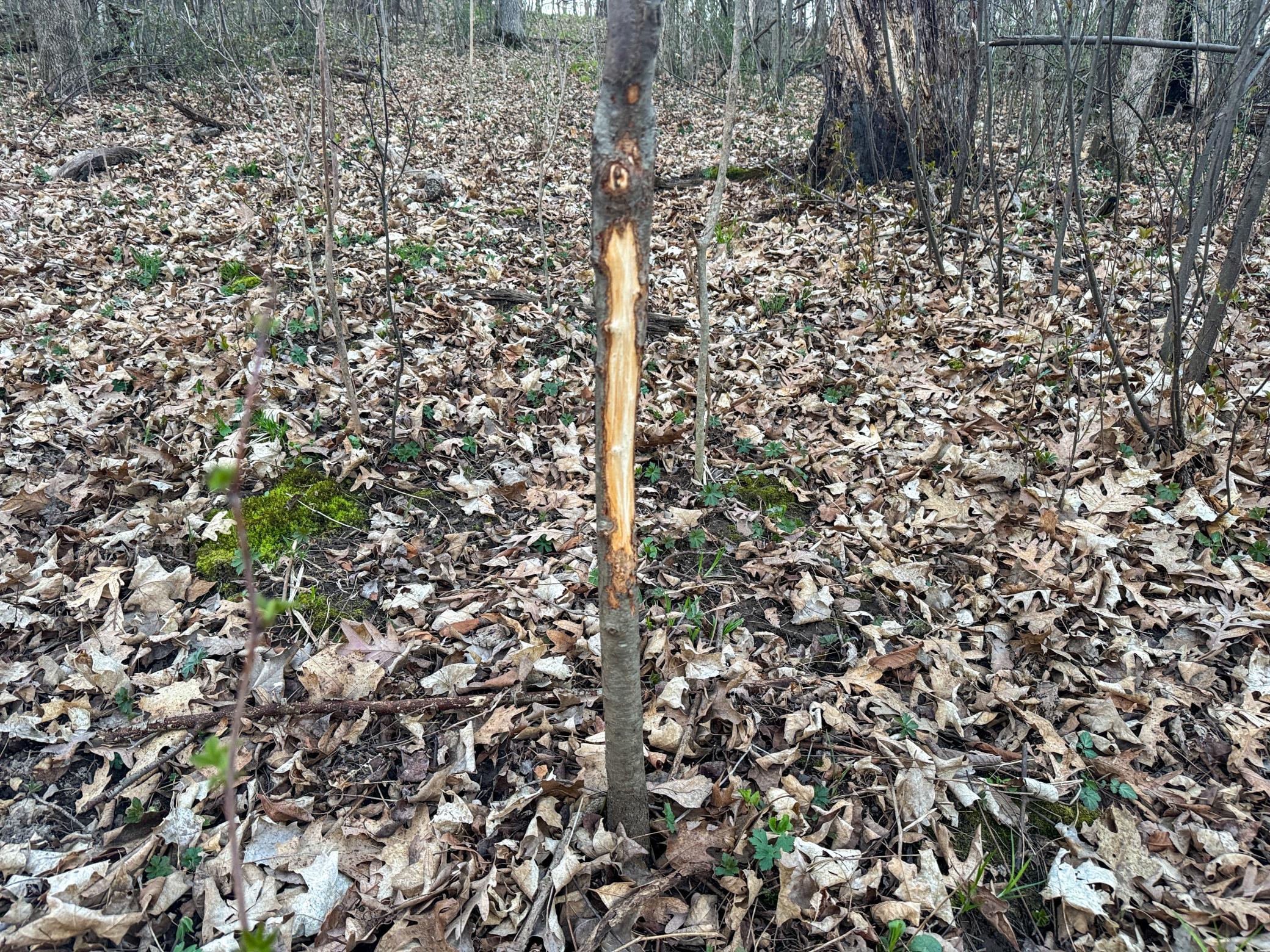 Tbd County Rd K Menomonie, WI 54751 - Photo 20 of 28