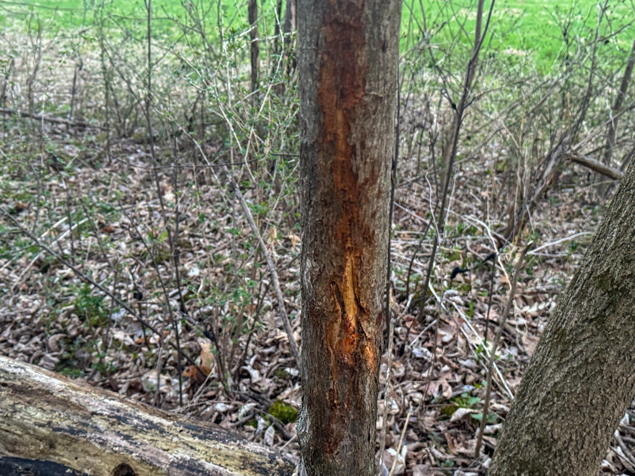 Tbd County Rd K Menomonie, WI 54751 - Photo 21 of 28