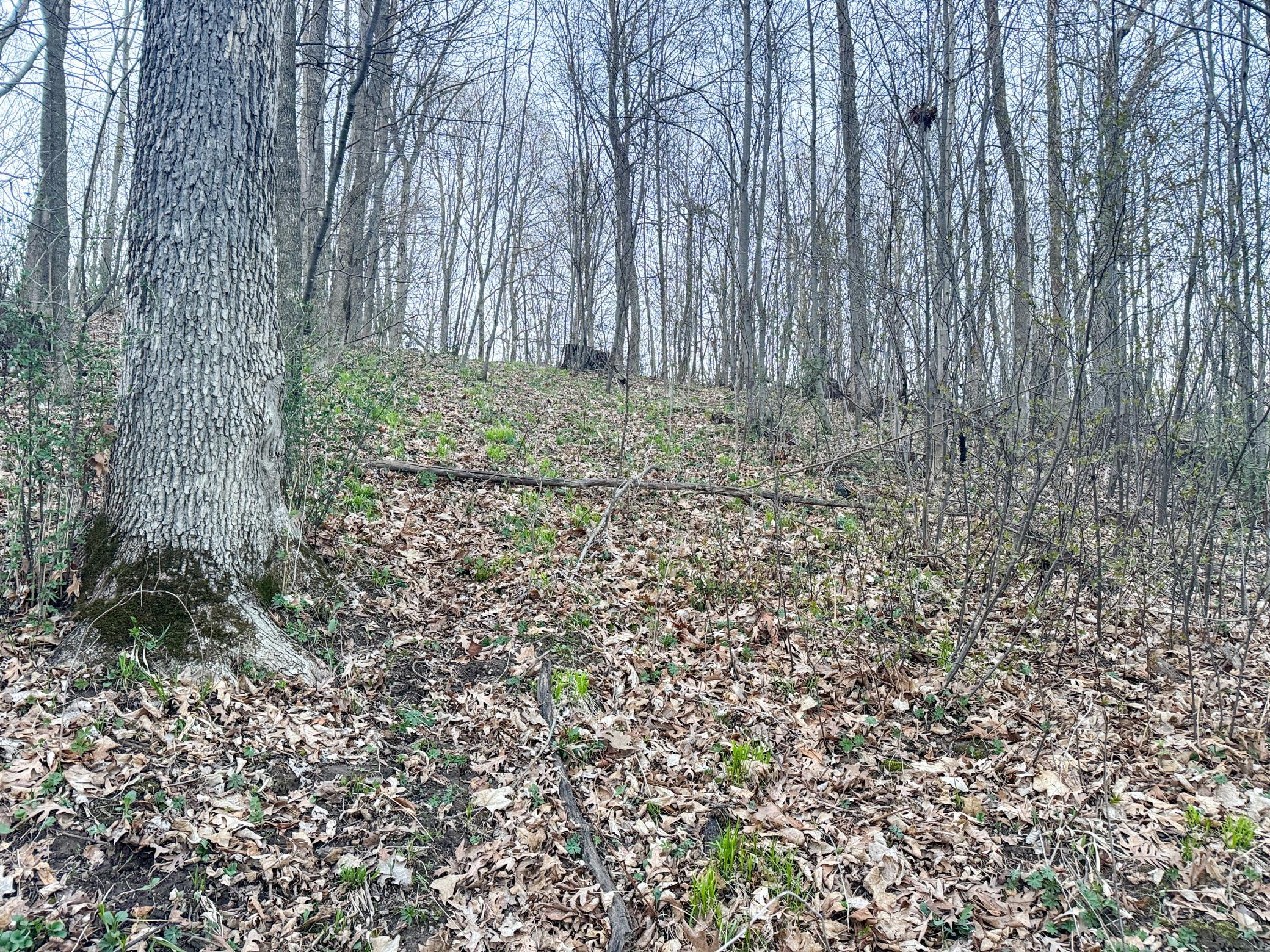 Tbd County Rd K Menomonie, WI 54751 - Photo 22 of 28