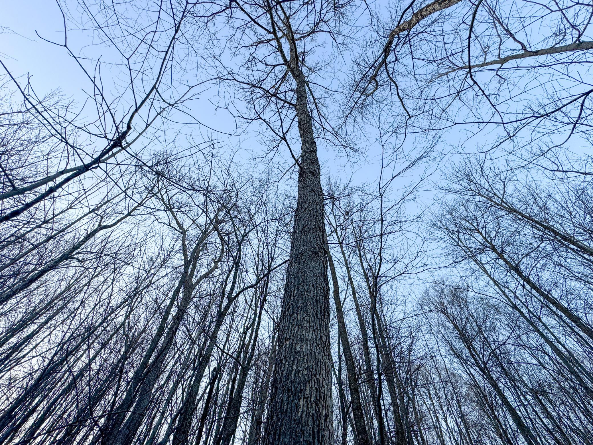 Tbd County Rd K Menomonie, WI 54751 - Photo 24 of 28