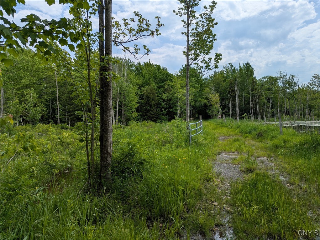 5696 Neff Road Leyden, NY 13309 - Photo 13 of 32