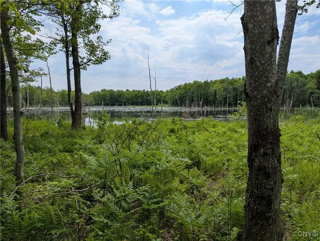 $140,000 | 5696 Neff Road, Leyden, NY 13309