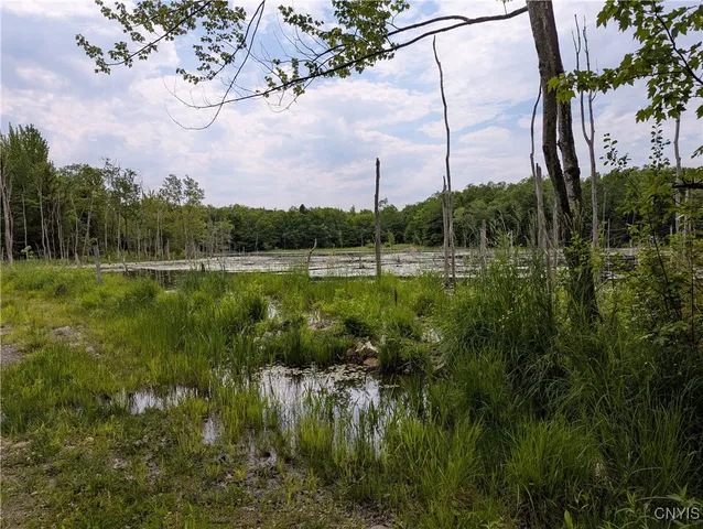 $140,000 | 5696 Neff Road, Leyden, NY 13309