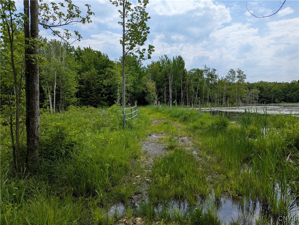 5696 Neff Road Leyden, NY 13309 - Photo 18 of 32