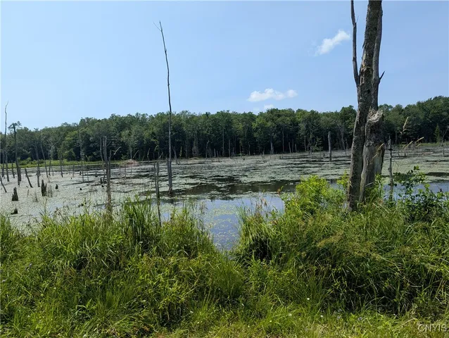 $140,000 | 5696 Neff Road, Leyden, NY 13309