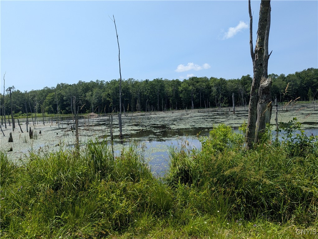 5696 Neff Road Leyden, NY 13309 - Photo 19 of 32