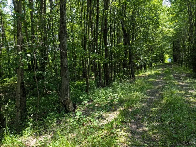 $140,000 | 5696 Neff Road, Leyden, NY 13309