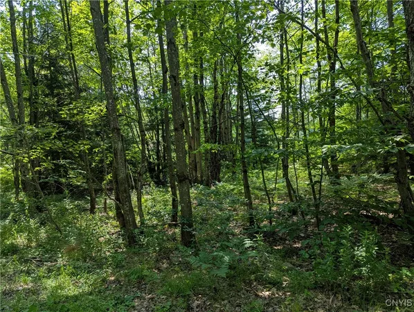 $140,000 | 5696 Neff Road, Leyden, NY 13309
