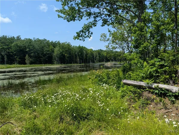 $140,000 | 5696 Neff Road, Leyden, NY 13309
