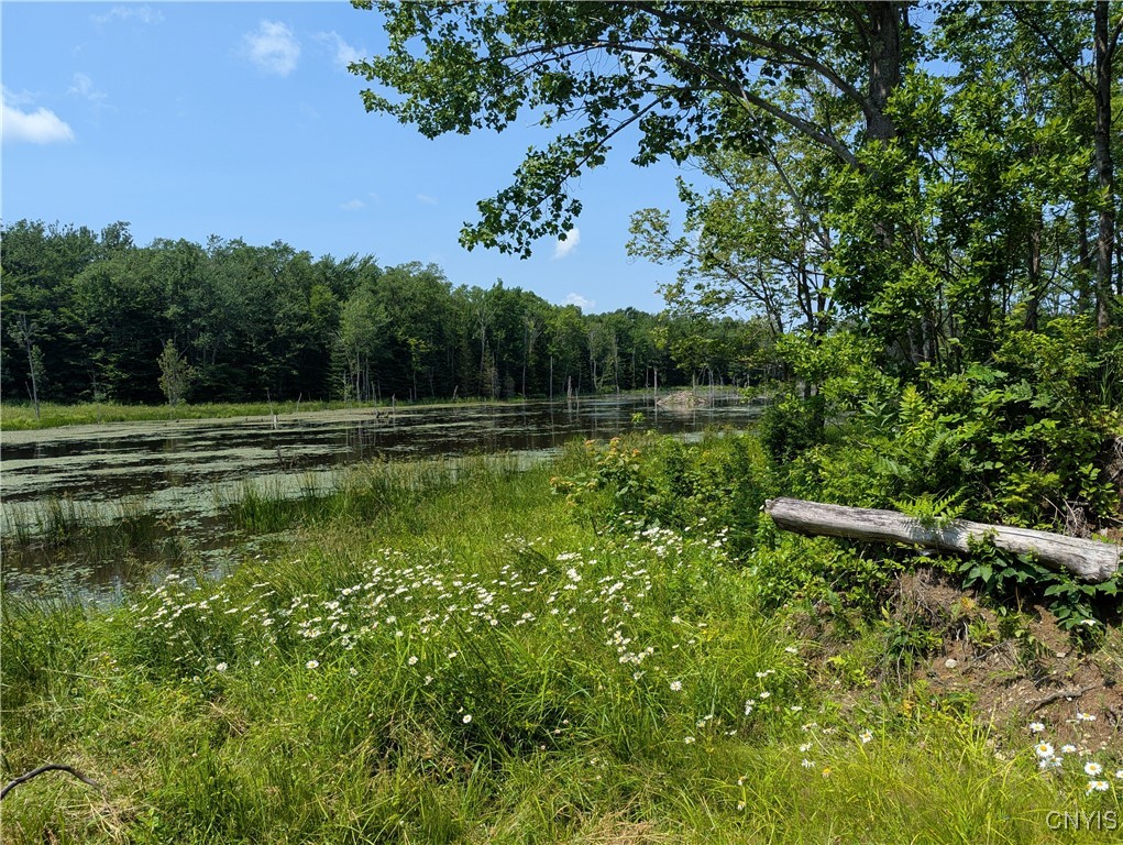 5696 Neff Road Leyden, NY 13309 - Photo 24 of 32