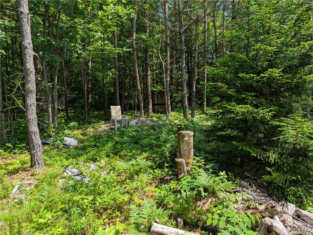 5696 Neff Road Leyden, NY 13309 - Photo 26 of 32