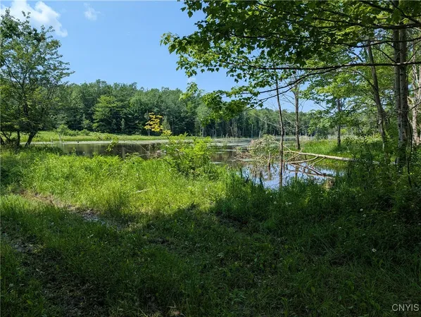 $140,000 | 5696 Neff Road, Leyden, NY 13309