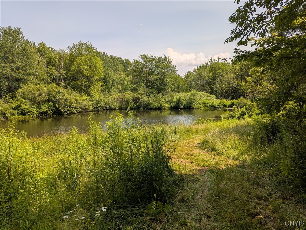 5696 Neff Road Leyden, NY 13309 - Photo 28 of 32 Second pond on property