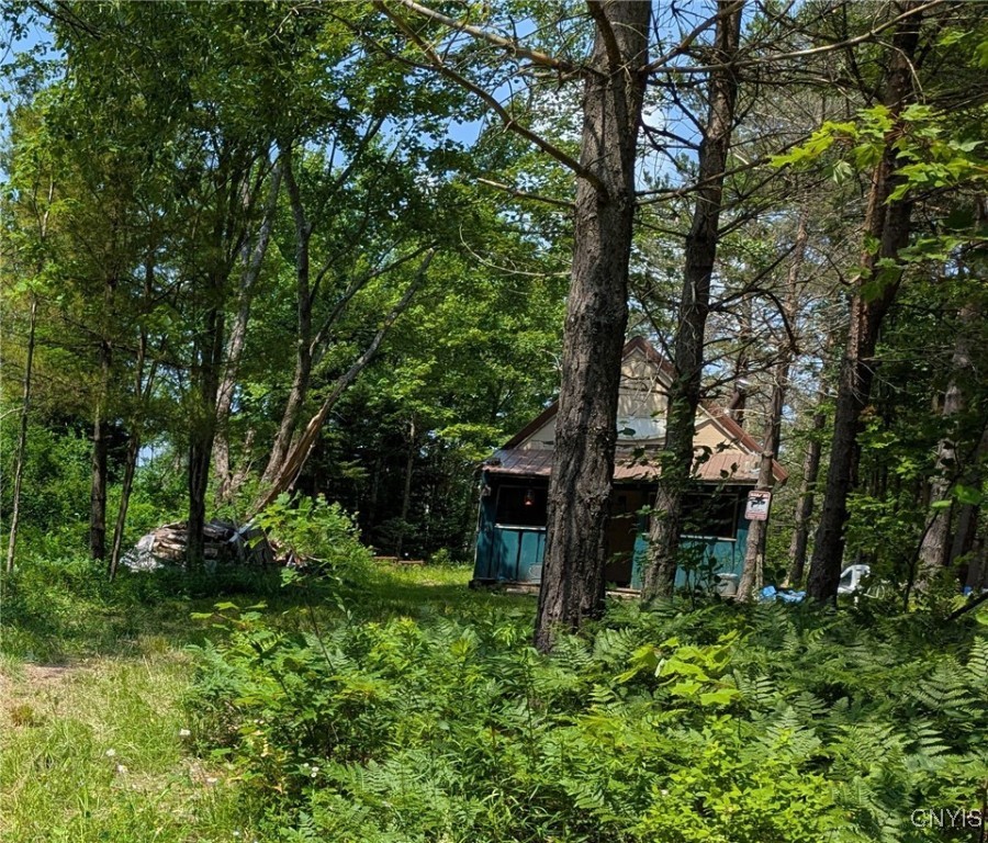 5696 Neff Road Leyden, NY 13309 - Photo 4 of 32 Cabin