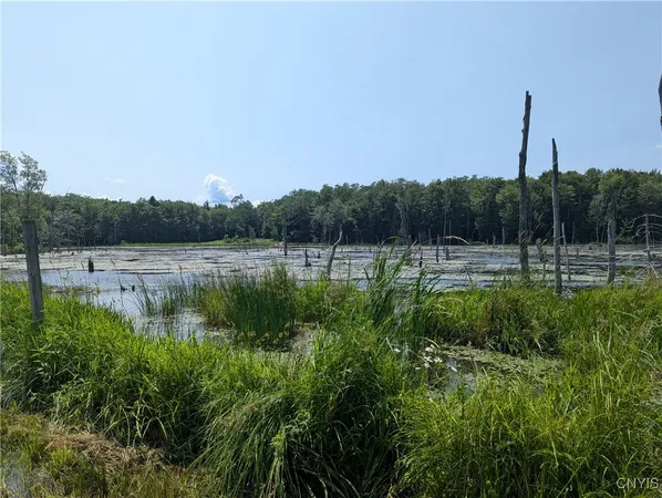 $140,000 | 5696 Neff Road, Leyden, NY 13309