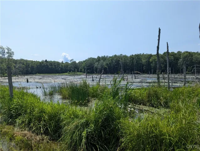 $140,000 | 5696 Neff Road, Leyden, NY 13309