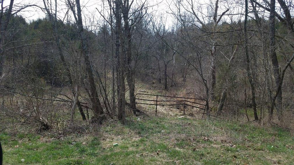 0 Three Lick Road Harrodsburg, KY 40330 - Photo 2 of 9 Photo 2