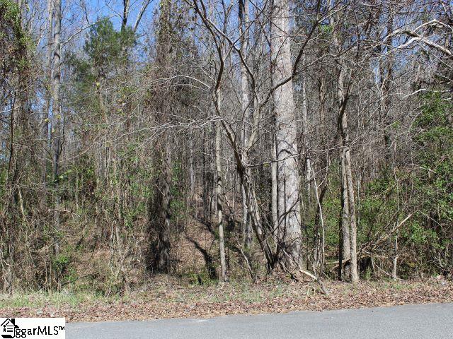 130-136 Sweeney Road Simpsonville, SC 29680 - Photo 1 of 3 Gallery Image 1