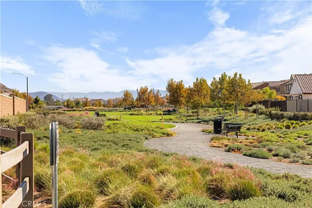 a view of a park with large trees