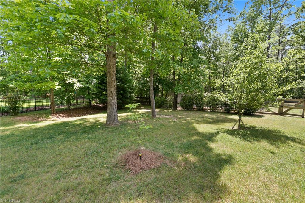 157 Maplevalley Road Advance, NC 27006 - Photo 49 of 50 Gallery Image 49