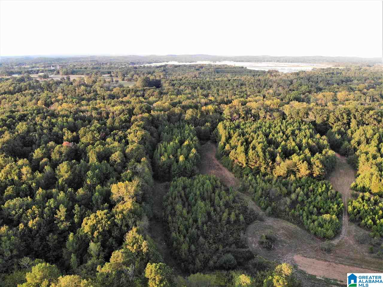 0 Blue Eye Springs Road, Unit 1 Lincoln, AL 35096 - Photo 9 of 24