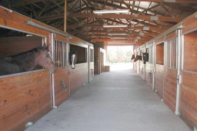 6520 East Bend Road Burlington, KY 41005 - Photo 4 of 8 Gallery Image 4