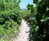 6660 North Ocean Boulevard, Unit 1 Ocean Ridge, FL 33435 - Photo 3 of 21