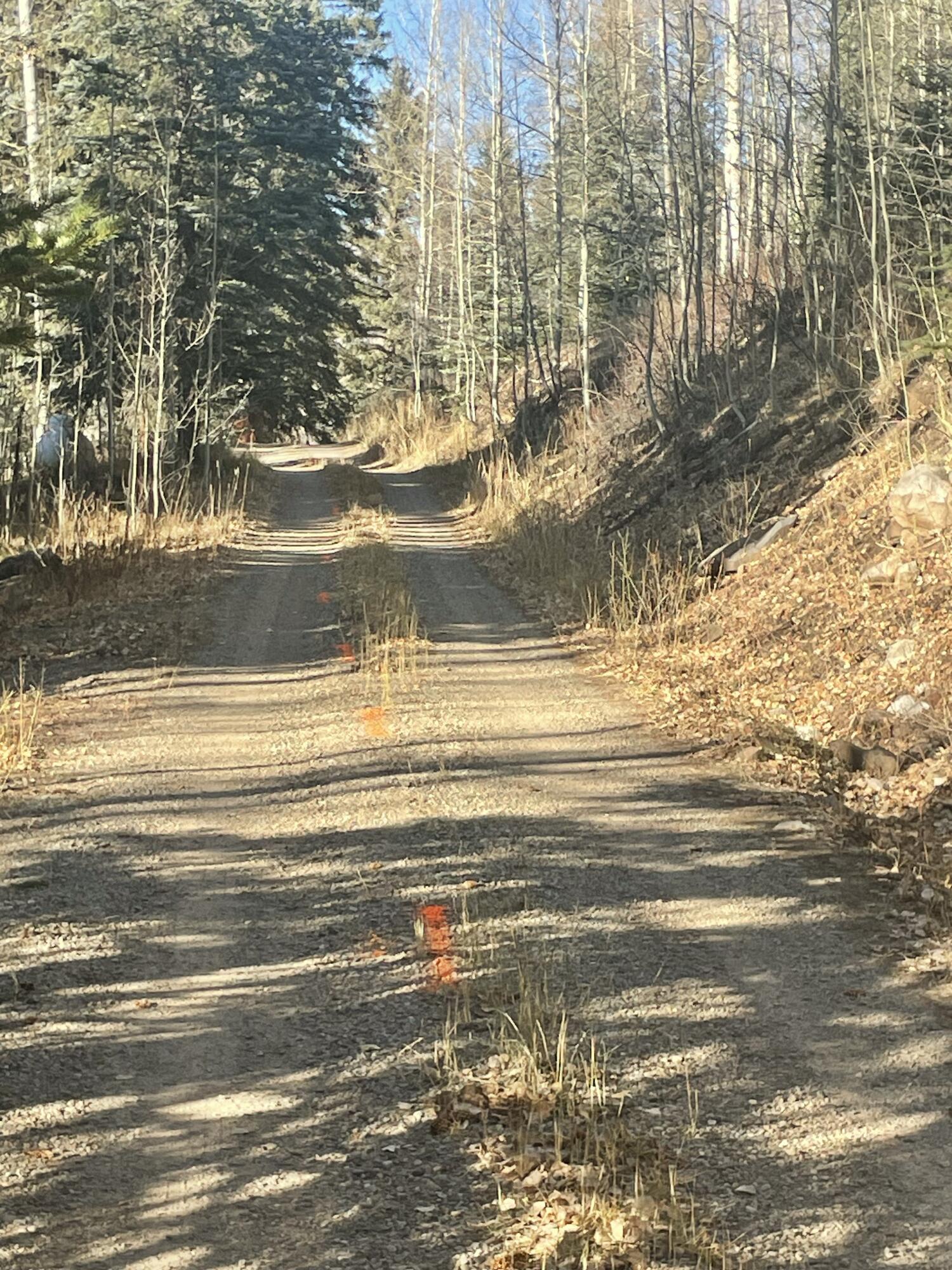 213 South Silver Street Rico, CO 81332 - Photo 19 of 24 a view of water and ocean