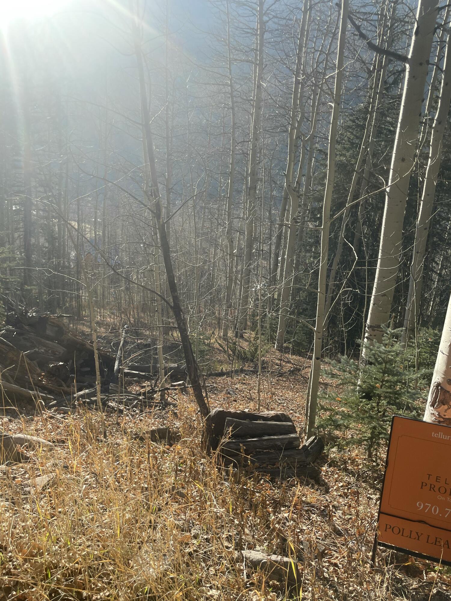 213 South Silver Street Rico, CO 81332 - Photo 20 of 24 a view of under construction of a house