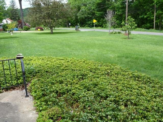768 Kinzua Road Warren, PA 16365 - Photo 22 of 26 Gallery Image 22