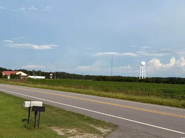 $459,900 | 521 Greeleyville Sc 29056, Greeleyville, SC 29056