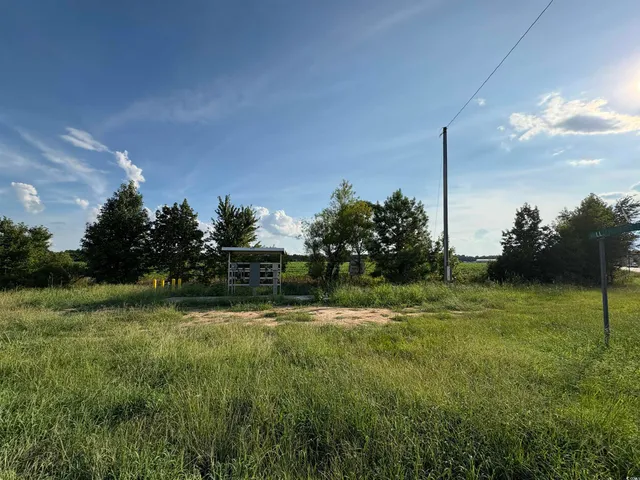 $459,900 | 521 Greeleyville Sc 29056, Greeleyville, SC 29056