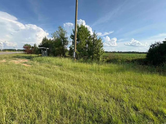 $459,900 | 521 Greeleyville Sc 29056, Greeleyville, SC 29056