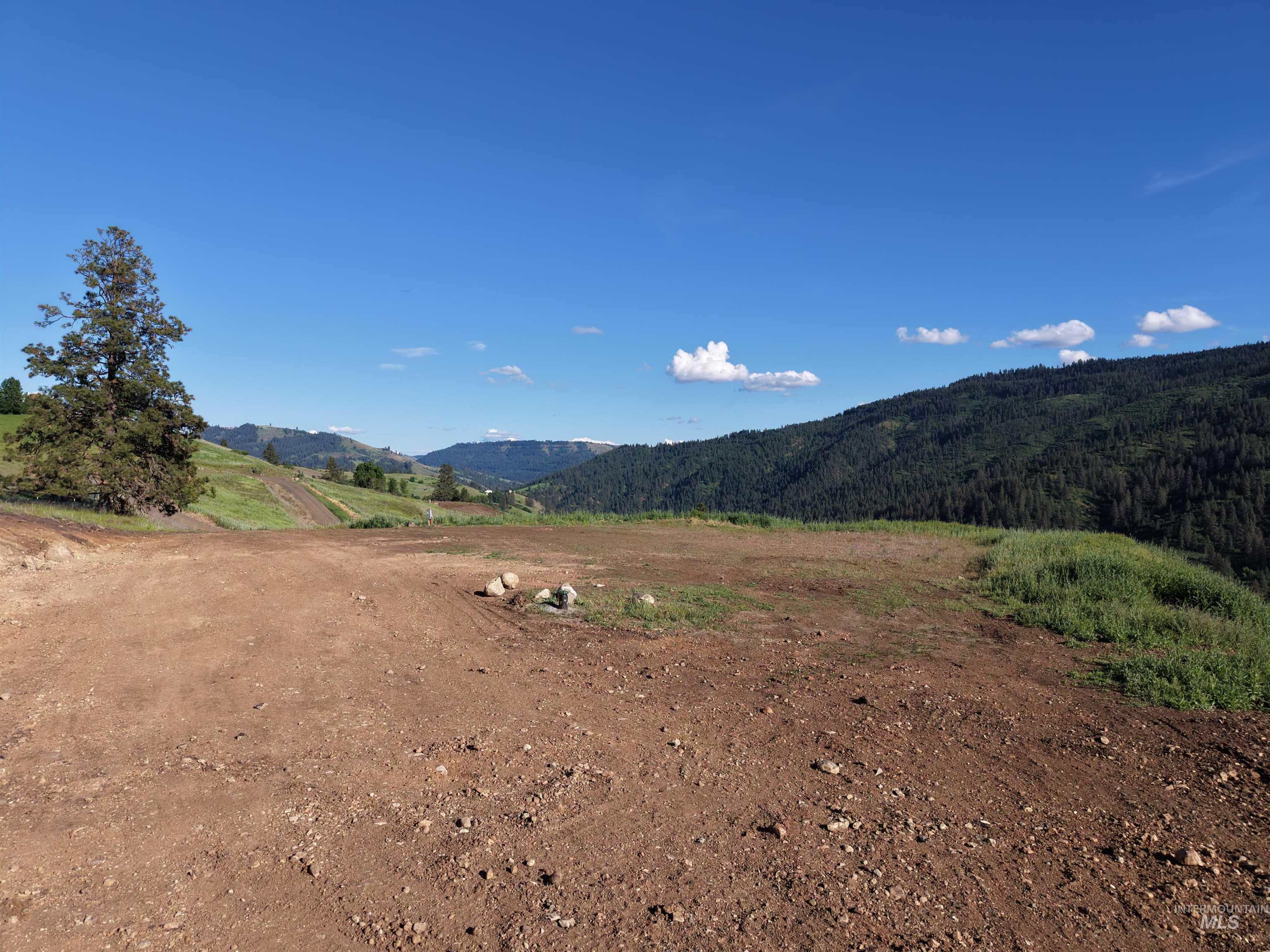 Tbd Lot 5 Tbd Lane Lenore, ID 83541 - Photo 27 of 31
