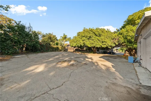a view of a garden with a tree