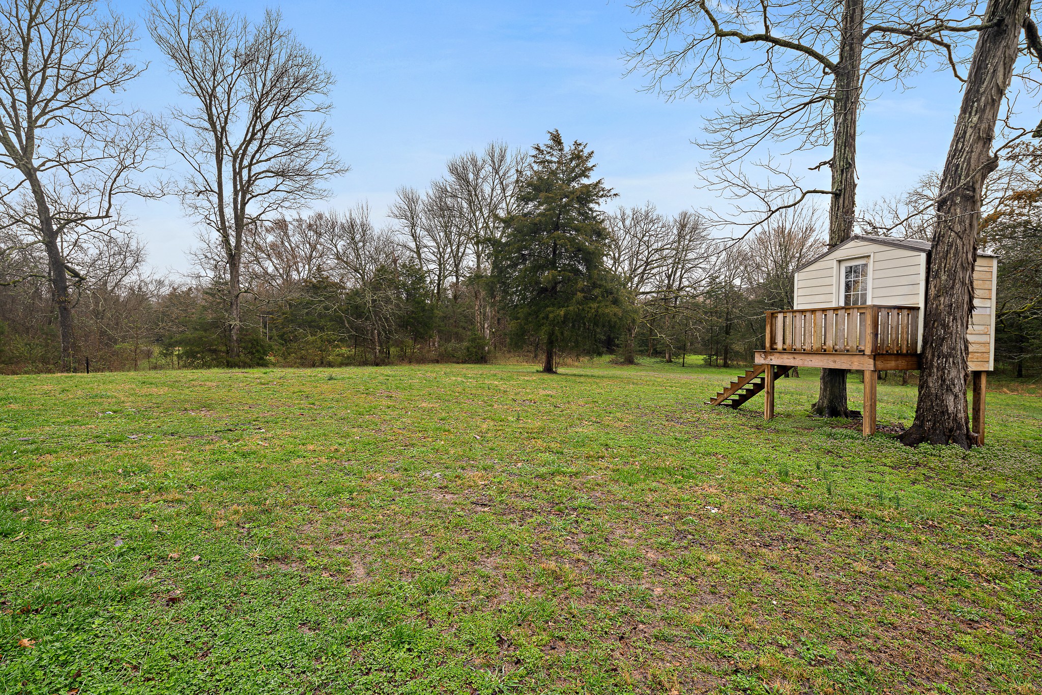 13577 Versailles Road Rockvale, TN 37153 - Photo 47 of 50 a view of a house with a yard