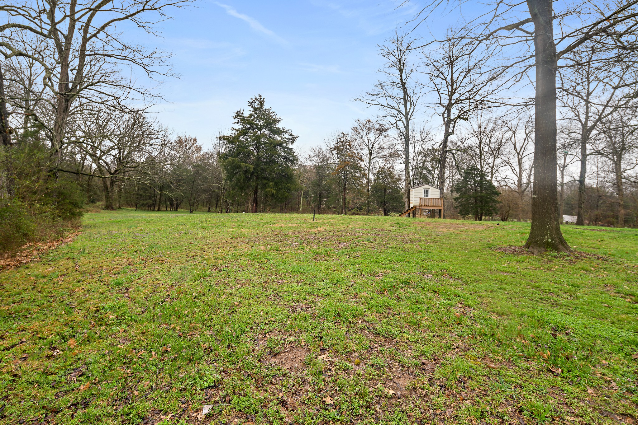 13577 Versailles Road Rockvale, TN 37153 - Photo 48 of 50 a view of a field with trees in the background