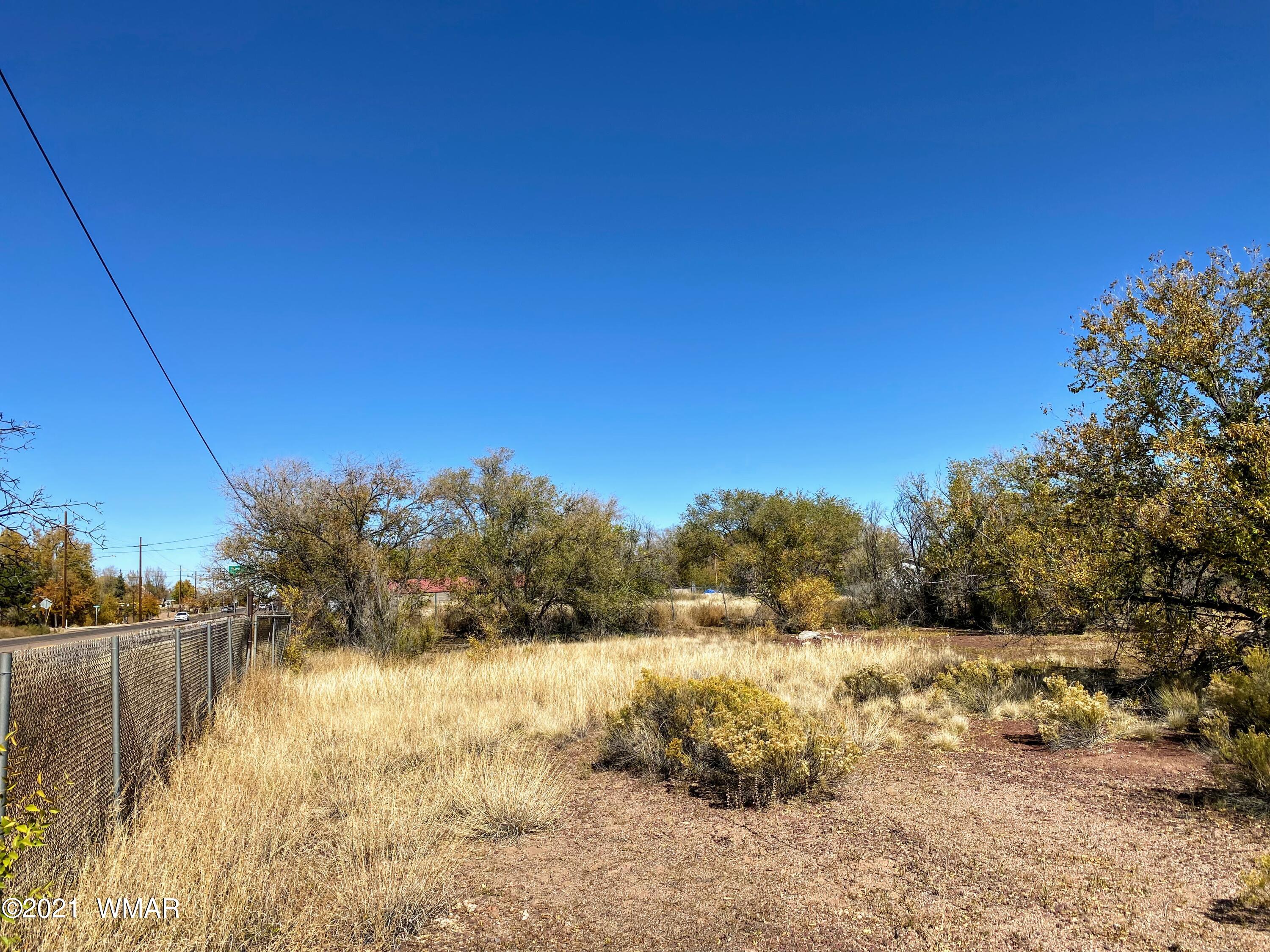 Tbd Main Street Taylor, AZ 85939 - Photo 8 of 8