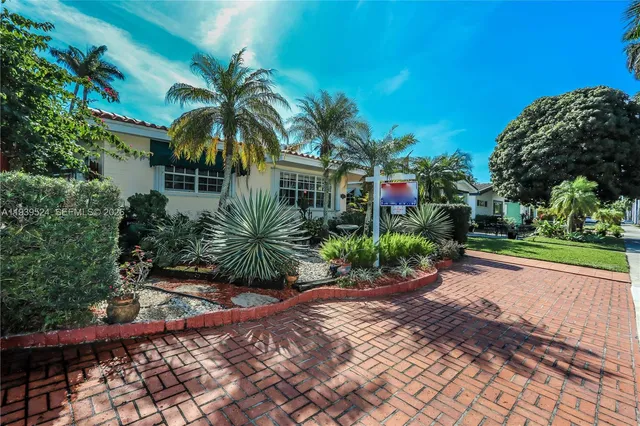 a view of a palm trees in a yard