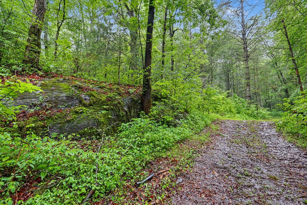 1070 Morgan Creek Road Marble, NC 28905 - Photo 25 of 40