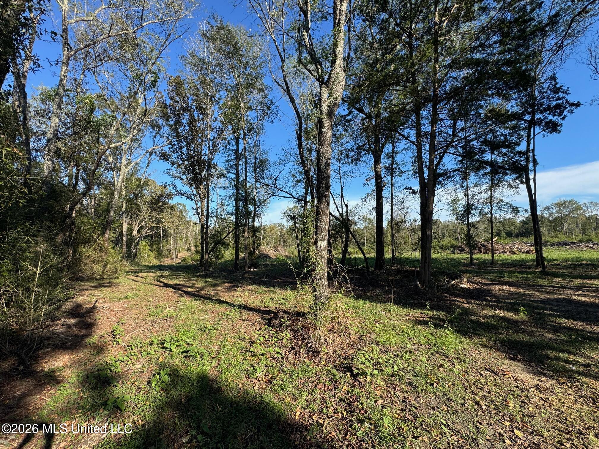 Xxx Emma Kelly Road Magnolia, MS 39652 - Photo 2 of 33 Emma Kelly 29