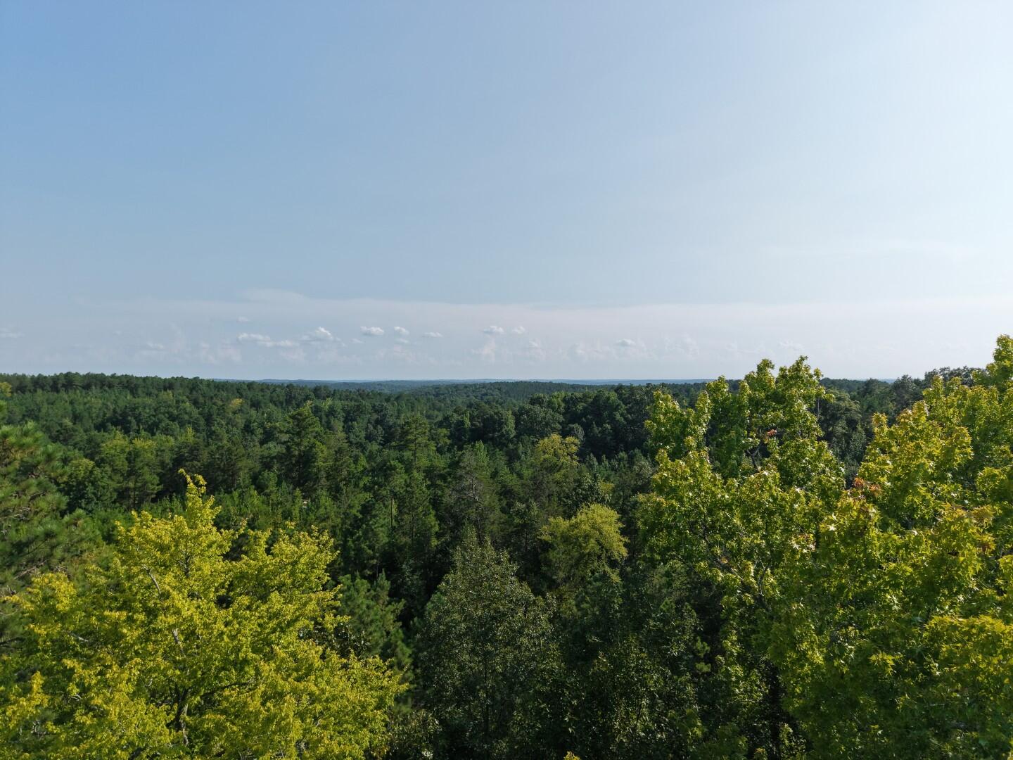 3096 State Rd S-20-33, Unit 2 Blair, SC 29015 - Photo 32 of 32 DJI_20260811171208_0274_D (Large)