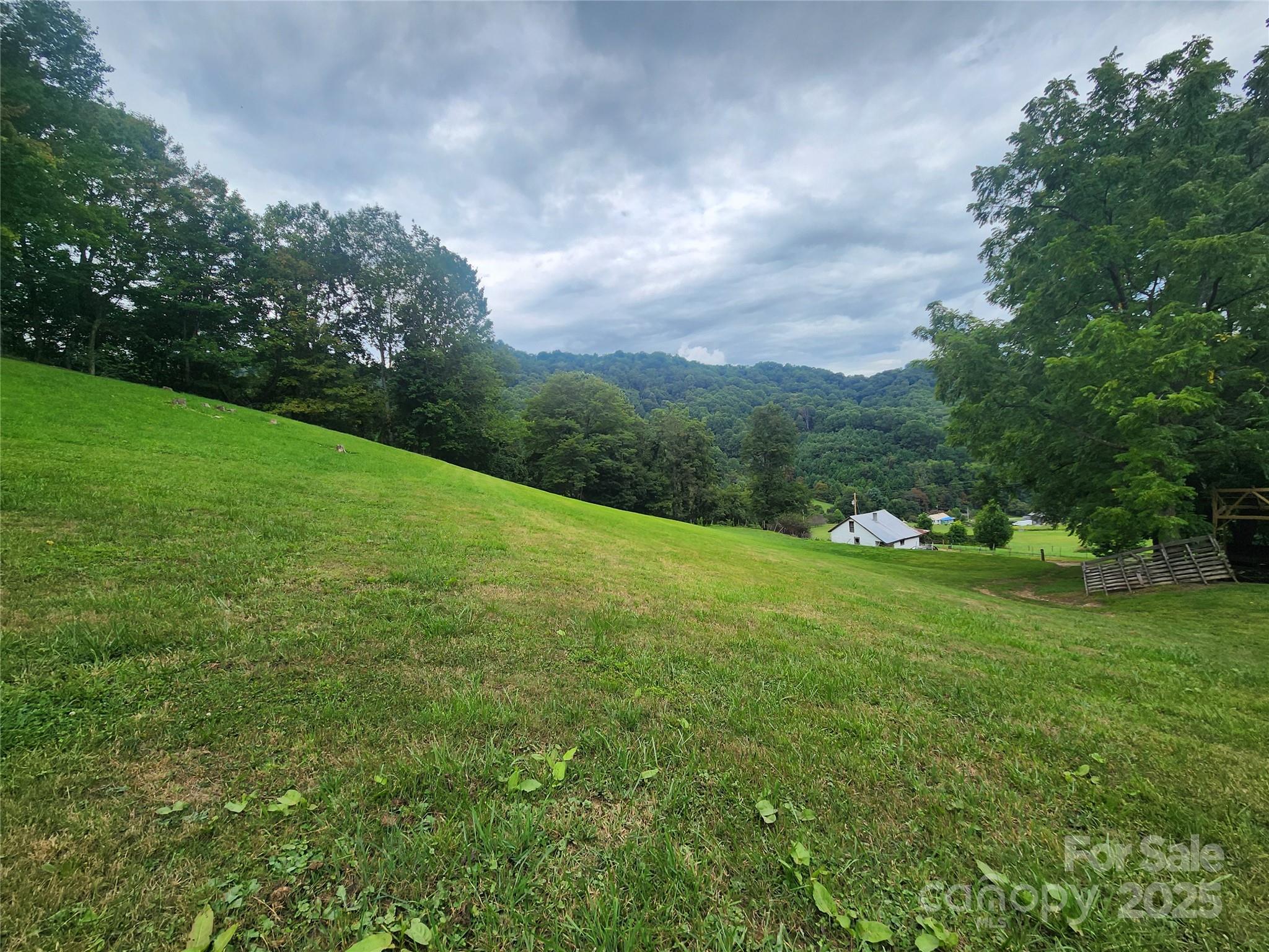 a view of a green field with plants and trees in the background