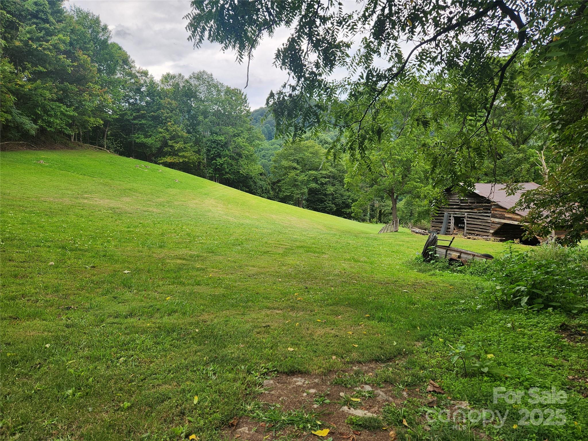 1925 South Fork Road Marshall, NC 28753 - Photo 11 of 42 a view of a garden with a bench