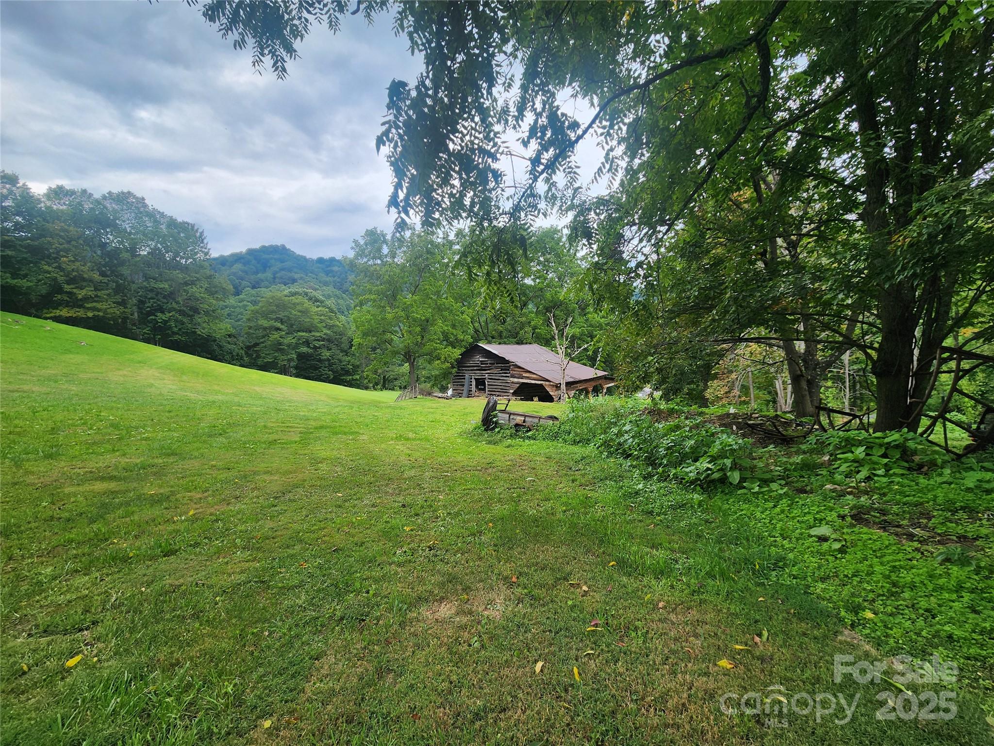 1925 South Fork Road Marshall, NC 28753 - Photo 12 of 42 a green field with lots of trees